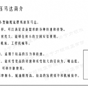 时博（中国）侧油口系列马达