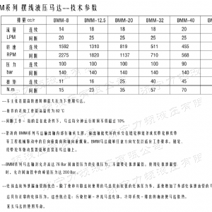 时博（中国）侧油口系列马达