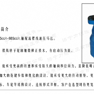 BMH系列并列油口时博web版登录入口马达