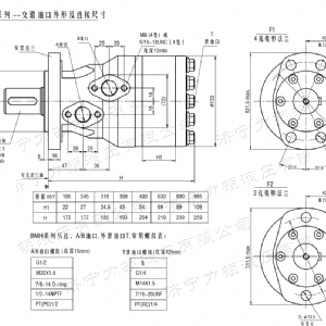 BMH系列交错油口时博web版登录入口马达